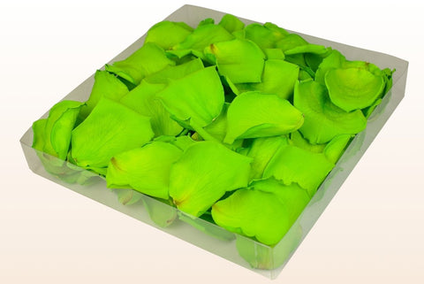 1 Liter Verpackung