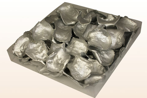 1 Liter Verpackung