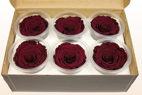 Größe L, 6 Rosen