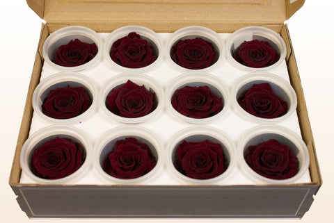 Größe S, 12 Rosen