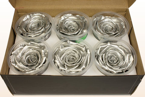 Größe XL, 6 Rosen